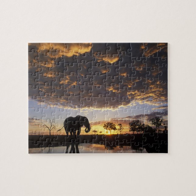 Puzzle Botswana, Chobe National Park, Elephant (Horizontal)