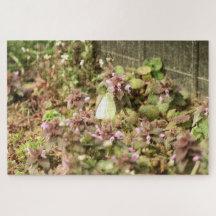 Bouche-papillon sur fleurs violettes