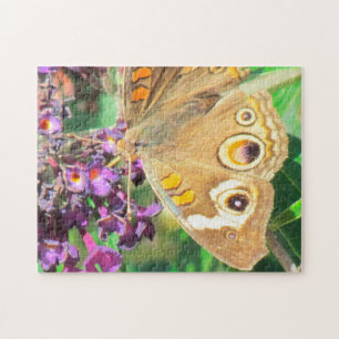 Puzzle - Bouclier papillon