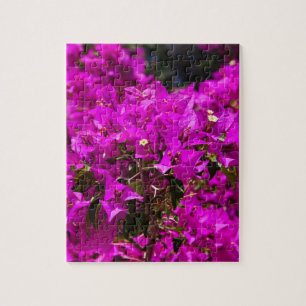 Puzzle Bougainvilliers rose violet Fleurs Jardin grec