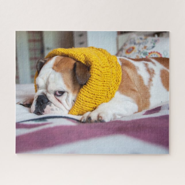 Puzzle Bouledogue anglais des images | de Getty (Horizontal)