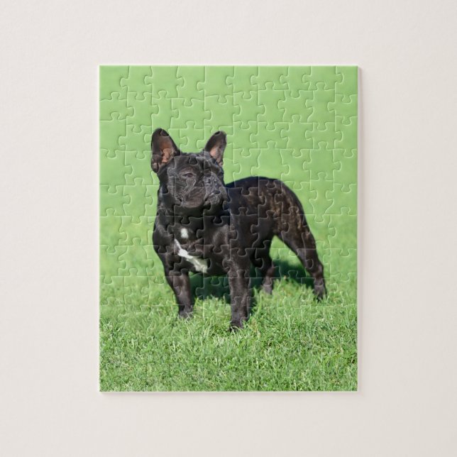 Puzzle Bouledogue français 2 (Vertical)