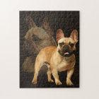 Bouledogue français - Frenchie - plaid Brown