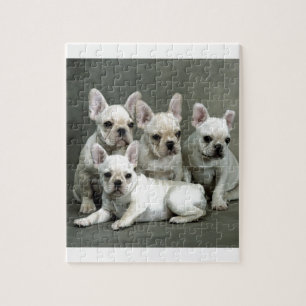 Puzzle Bouledogues français blancs adorables
