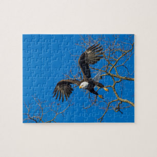 Puzzle Boulon d'aigle