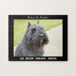 Puzzle Bouvier des Flandres Photo Chien race