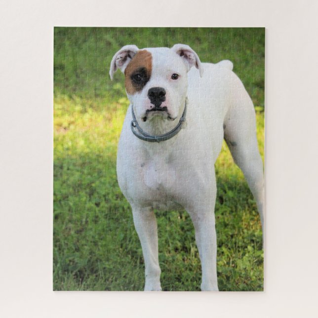 Puzzle Boxer (Vertical)