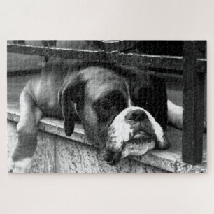 Puzzle Boxer Dog On Windowsill 20x30 1014pc jpcnm