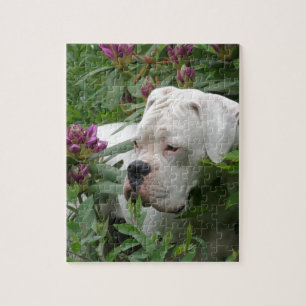 Puzzle Boxeur blanc dans Rhodies rose