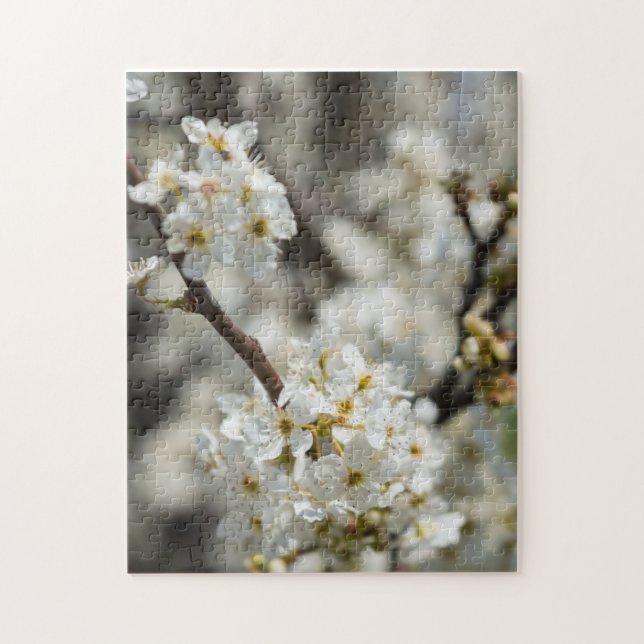 Puzzle Bradford Select Focus (Vertical)