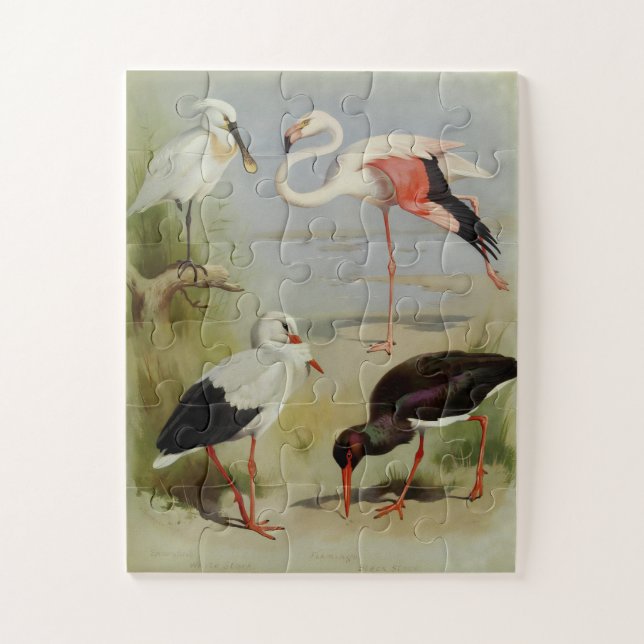 Puzzle British Birds, Illustrations D'Art (Vertical)