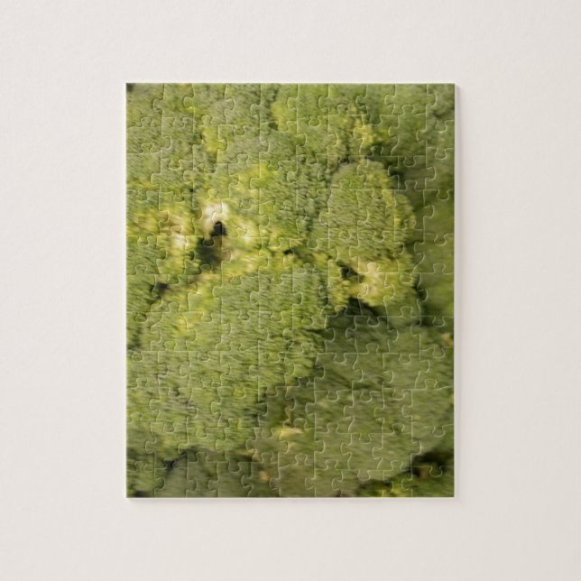 Puzzle Brocoli (Vertical)