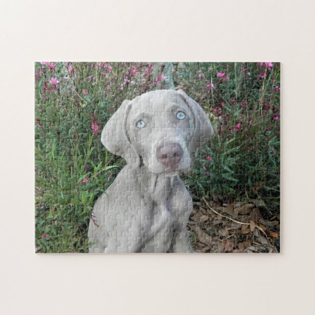 Puzzle Brooklyn's Garden Party - Weimaraner Dog (Horizontal)