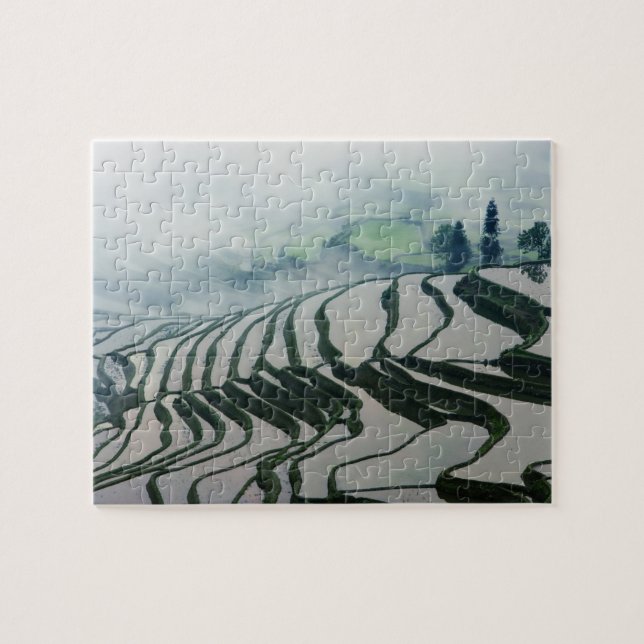 Puzzle Brouillard de matin au-dessus des gisements de riz (Horizontal)