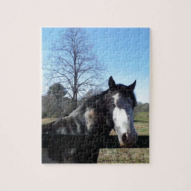 Puzzle Brown &blanc, Cheval Peint, ciel bleu vif (Vertical)