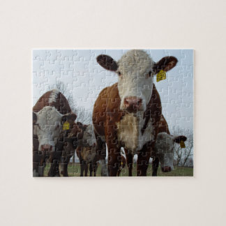 Puzzle Brown de vache