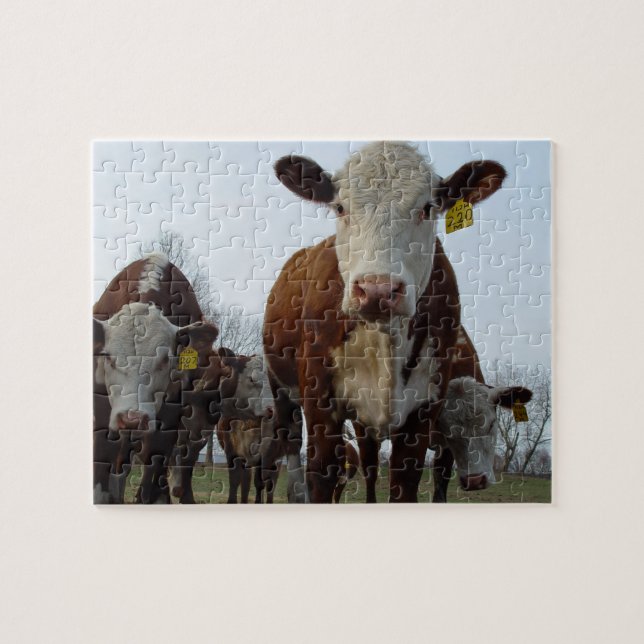 Puzzle Brown de vache (Horizontal)