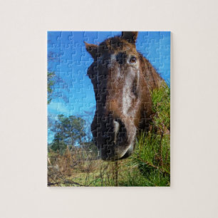 Puzzle Brown et crème Couleur Cheval bleu ciel