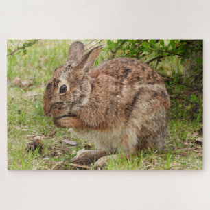 Puzzle Brown Fluffy sauvage Lapin lapin prier