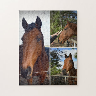 Puzzle Brown Horses