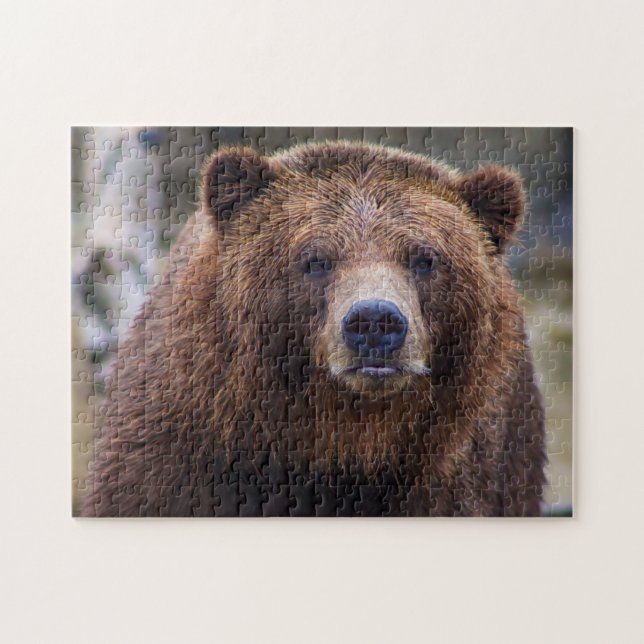Puzzle Brown Ours Wild Grizzly Forêt Bois Nature Paysage (Horizontal)