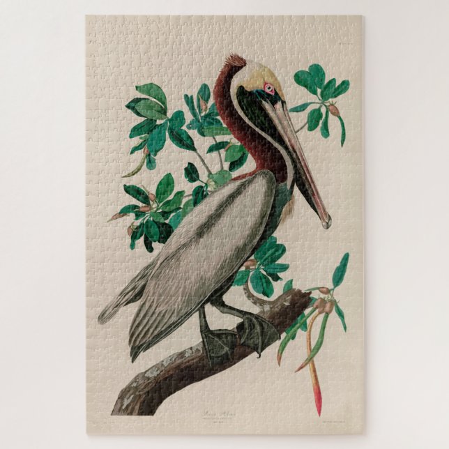 Puzzle Brown Pelican Birds of America Audubon (Vertical)