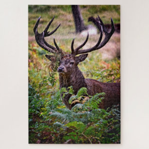 Puzzle Buck in Richmond Park - 20x30 - 1014 pièces