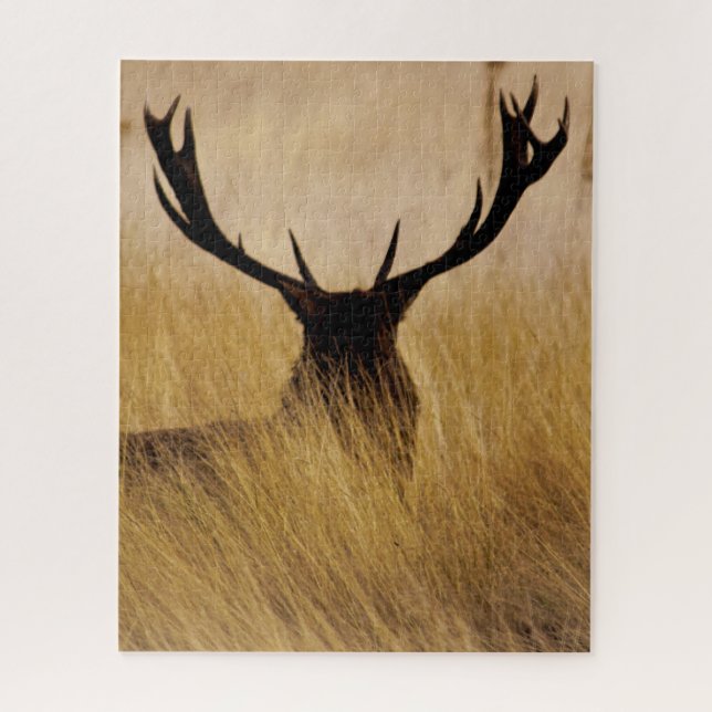 Puzzle Buck in the Brush - 16x20 - 520 pièces (Vertical)