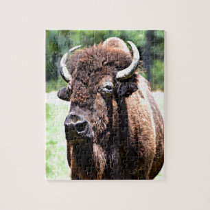 Puzzle Buffle (bison)
