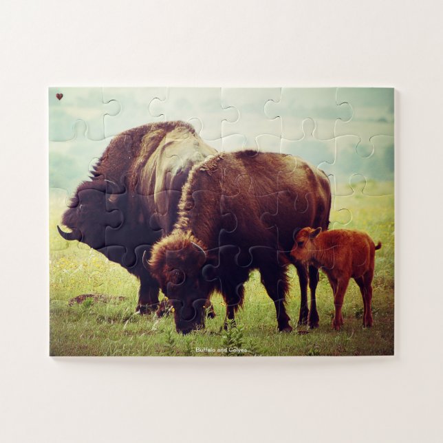 Puzzle Buffles et veaux (Horizontal)
