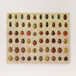 Puzzle Bug d'insectes coccinelle de coccinelle