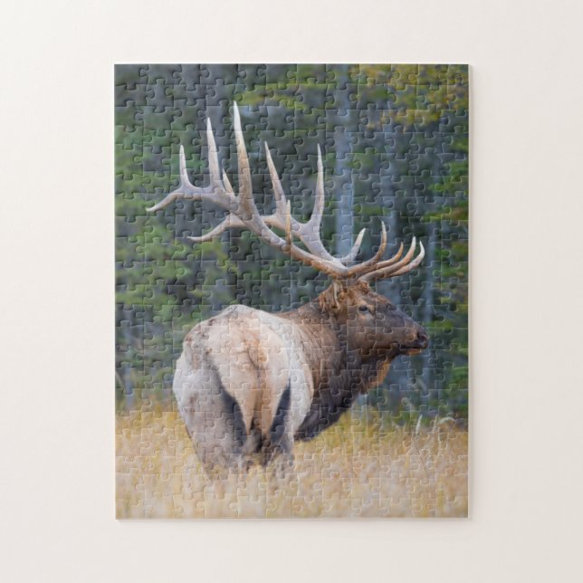 Puzzle Bull (Vertical)