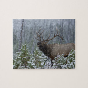 Puzzle Bull Elk dans l'appel de neige, bourdonnement, Yel