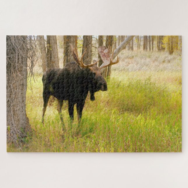 Puzzle Bull Moose Jigsaw (Horizontal)