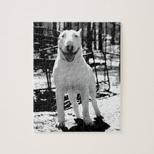 Puzzle Bull-terrier