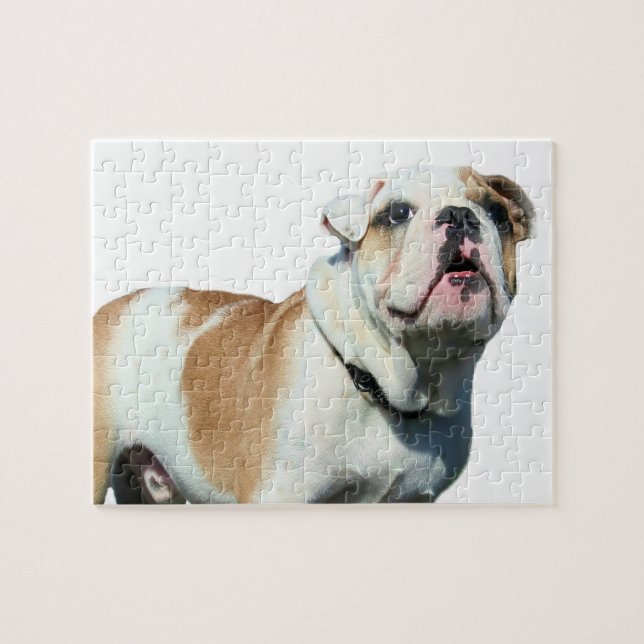 Puzzle bulldog anglais (Horizontal)