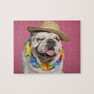 Puzzle Bulldog anglais (18 mois) en paille