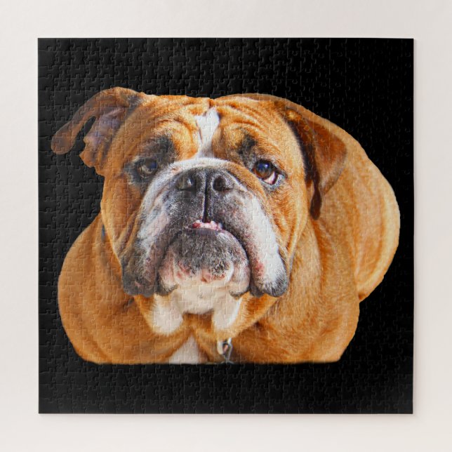 Puzzle Bulldog Face - Bulldog anglais, Brown (Vertical)