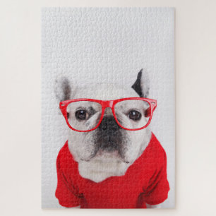 Puzzle Bulldog français avec lunettes et chemise