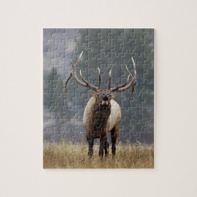 Puzzle Bulle de l'Elk, Yellowstone NP, Wyoming 2 (Vertical)