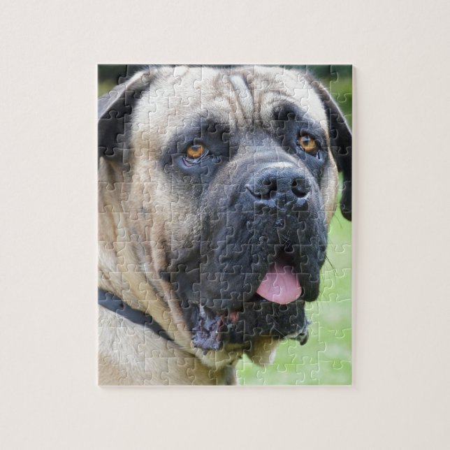 Puzzle Bullmastiff (Vertical)