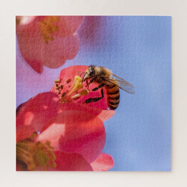 Puzzle Bumble Bee on Quince (Vertical)