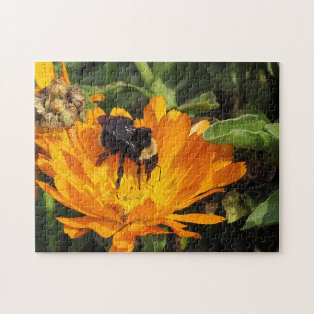 Puzzle - Bumble Bee sur Calendula (Horizontal)