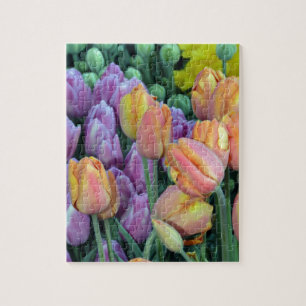 Puzzle Bunch de tulipes colorées