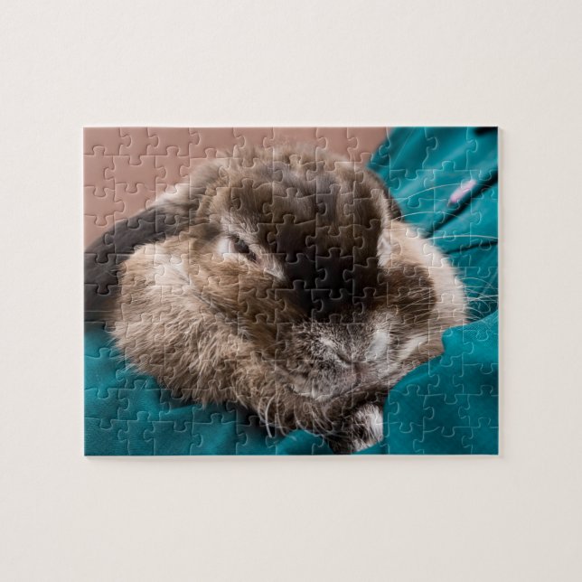 Puzzle Bunny (Horizontal)