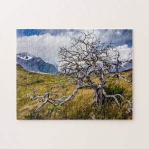 Puzzle Burnt tree, Torres del Paine, Chile