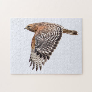 Puzzle Buse à épaulettes rouge en vol