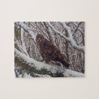 Puzzle Buse d'hiver perchée sur une branche gelée de la f