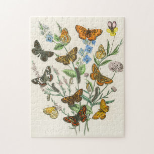 Puzzle Butterflies and Flowers Vintage Illustration 1