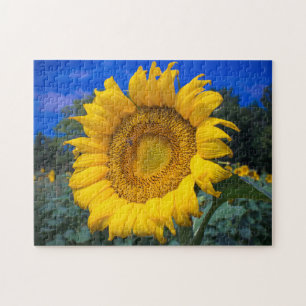 Puzzle Buzz l'abeille dans le tournesol